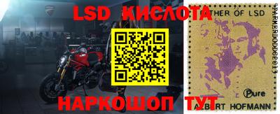 СК Новокубанск