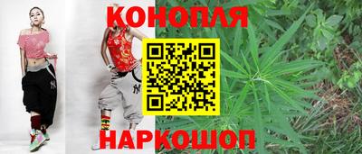 СК Новокубанск