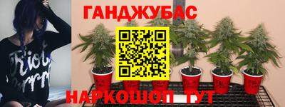 СК Новокубанск