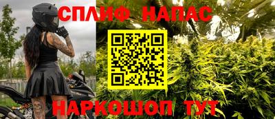 Альфа ПВП Новозыбков