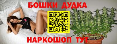 Альфа ПВП Новозыбков