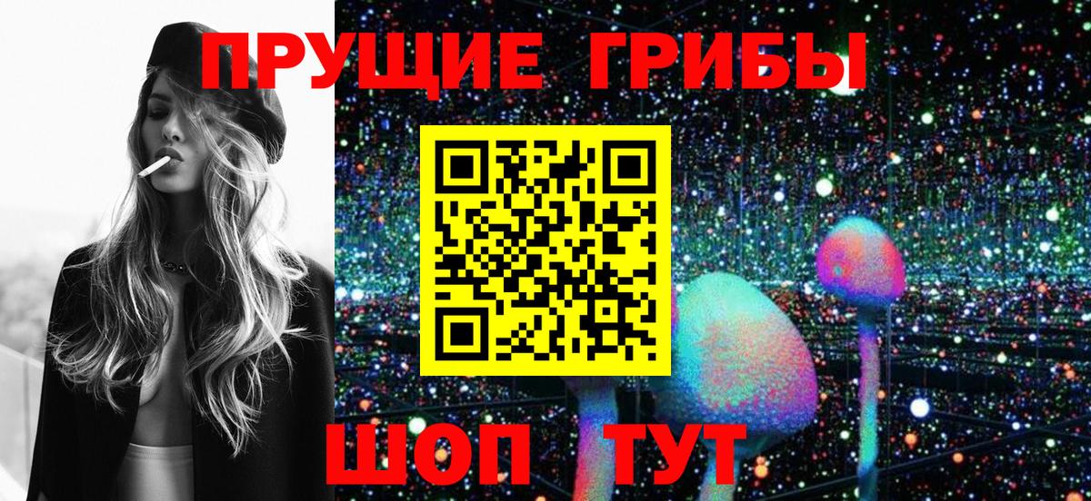 Галлюциногенные грибы Psilocybe  Вход с VPN  купить   Туймазы  Псилоцибиновые грибы Psilocybe 